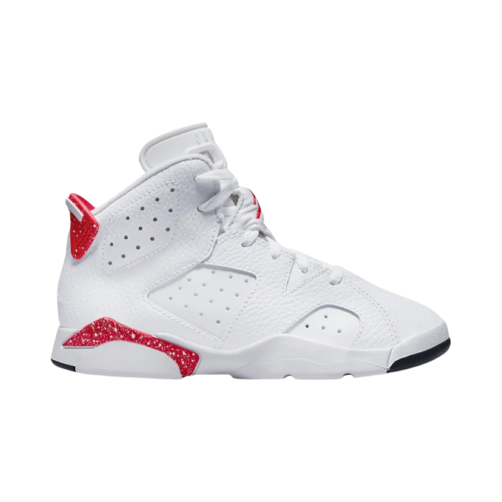 Air Jordan 6 Retro PS
