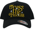 Trust the Process Snapback