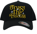 Trust the Process Snapback