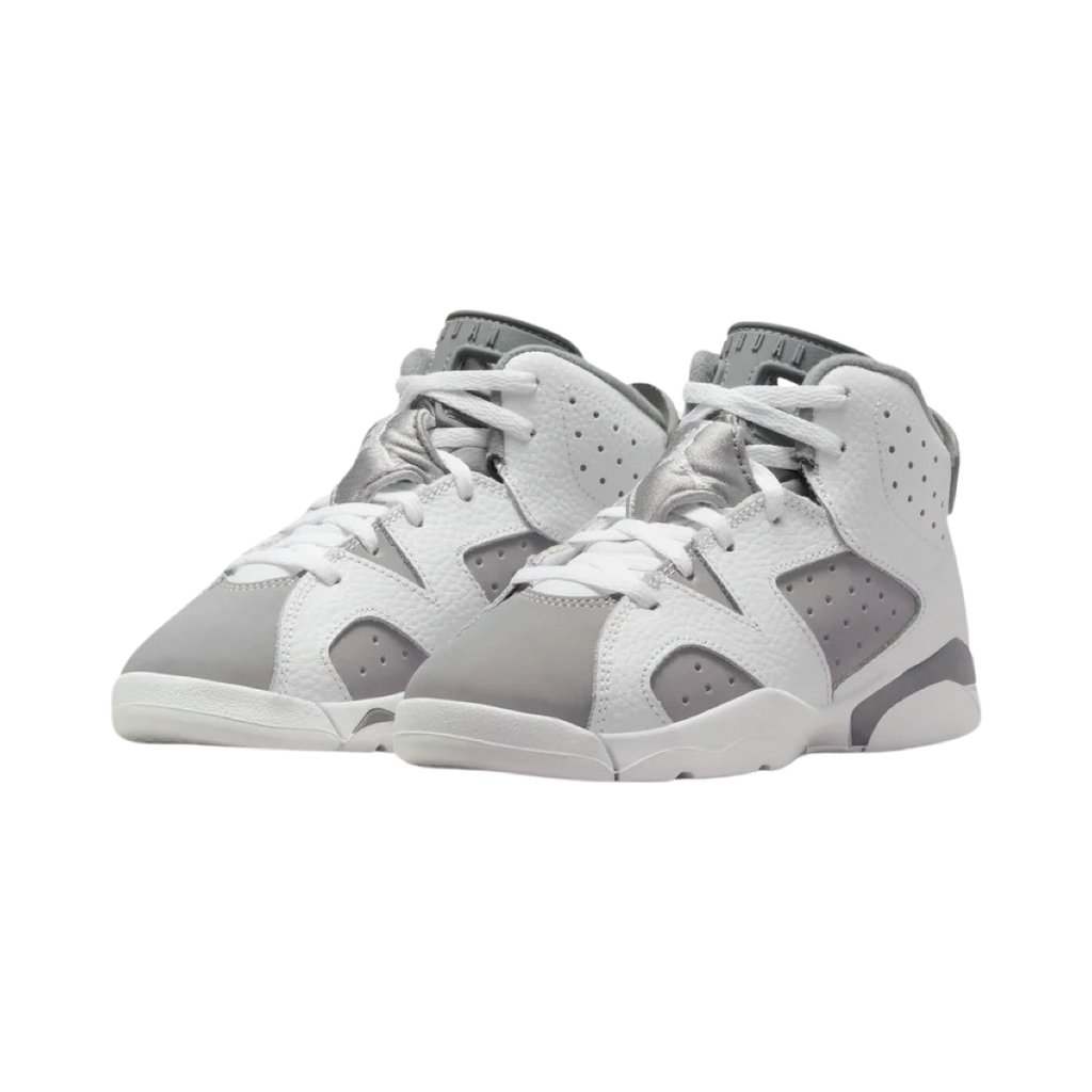 Air Jordan 6 Retro PS