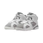 Air Jordan 6 Retro PS