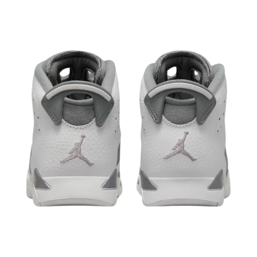 Air Jordan 6 Retro PS