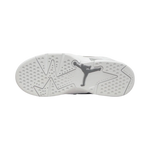 Air Jordan 6 Retro PS