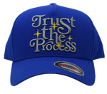 Trust the Process Snapback