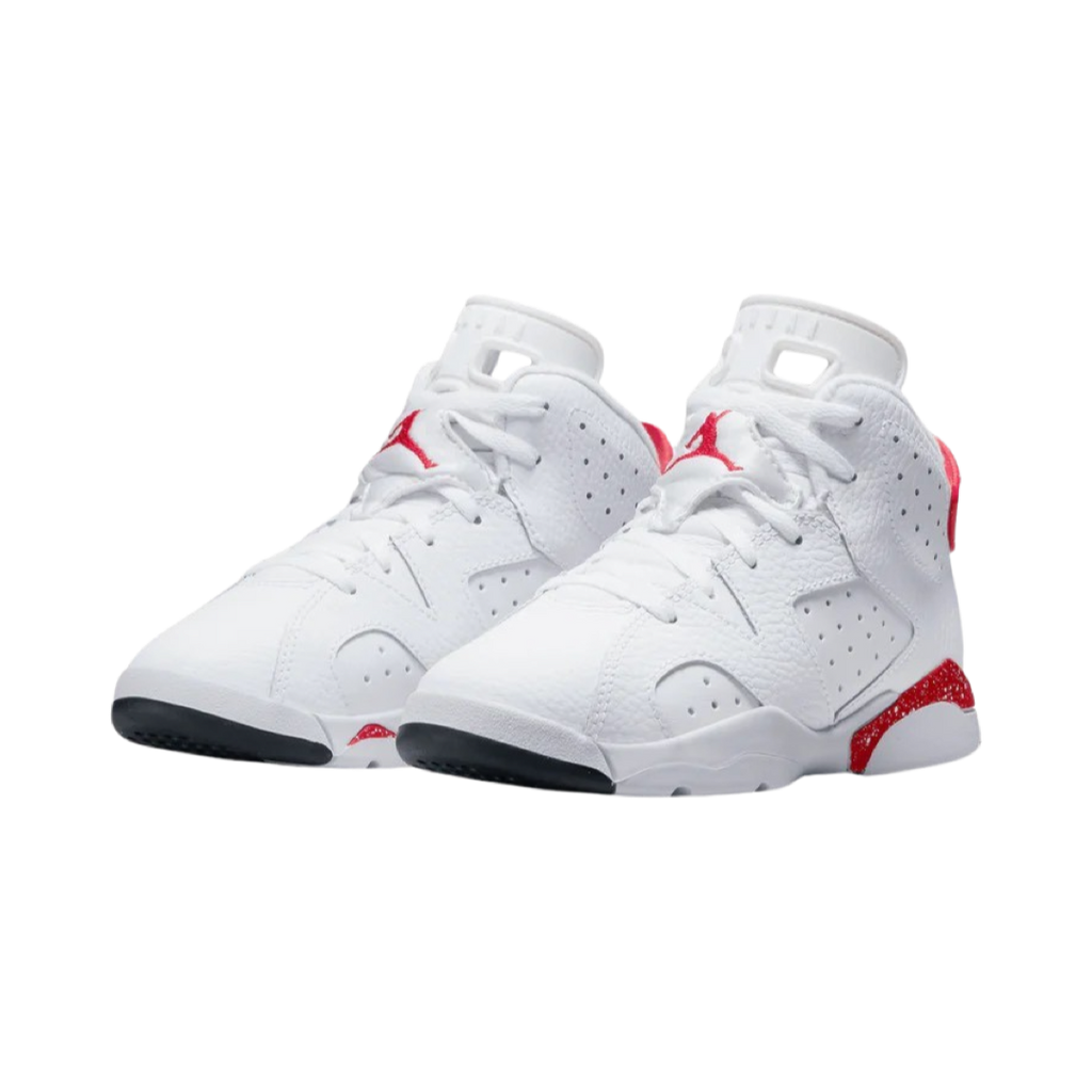 Air Jordan 6 Retro PS