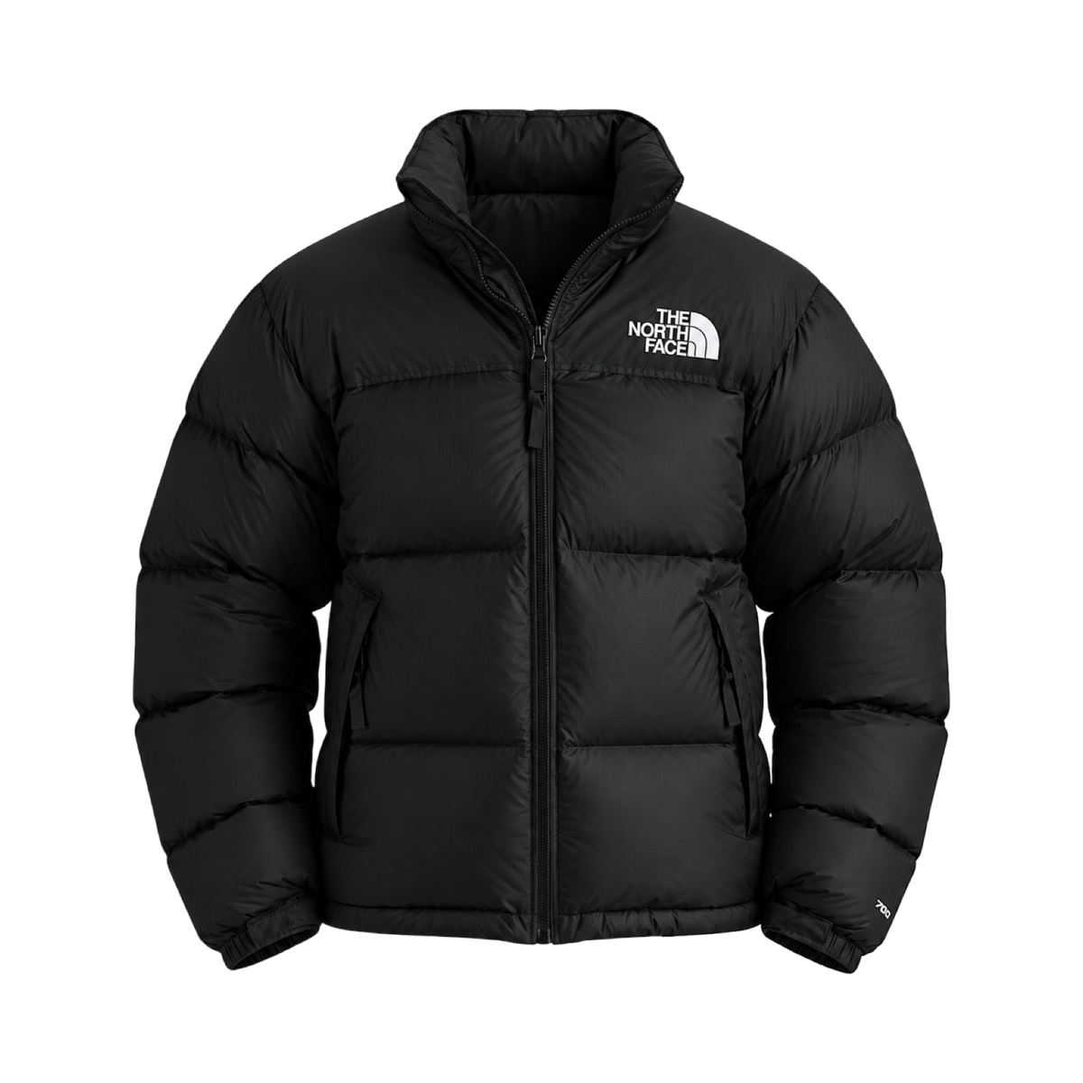 Men’s 1996 Retro Nuptse Jacket