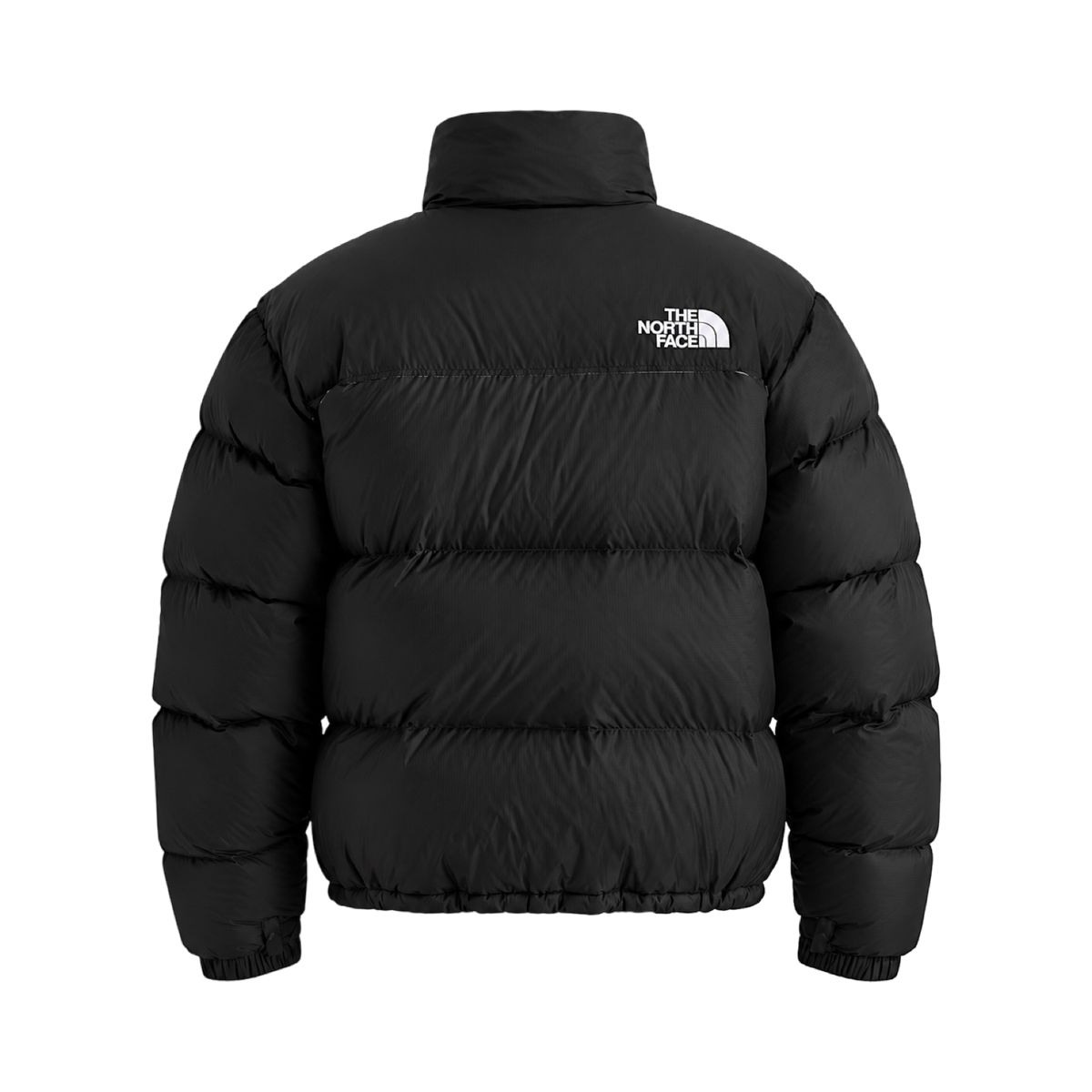 Men’s 1996 Retro Nuptse Jacket