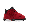 Air Jordan 6 Retro TD