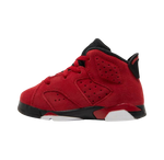 Air Jordan 6 Retro TD