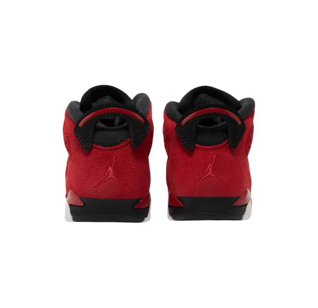 Air Jordan 6 Retro TD