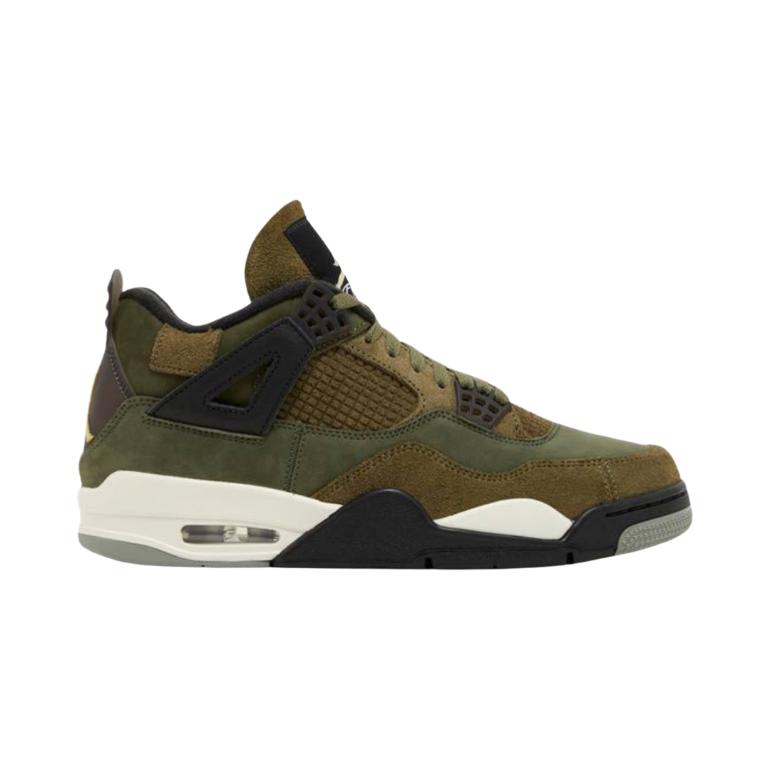 Air Jordan 4 Retro SE