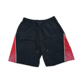 Rhinestone Nylon Short