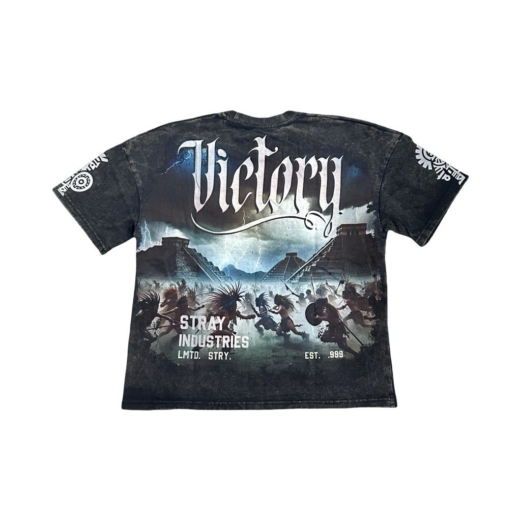 Stray acid washed, digital print metal stud trim tshirt