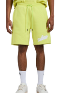 AVIREX shorts