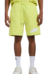 AVIREX shorts
