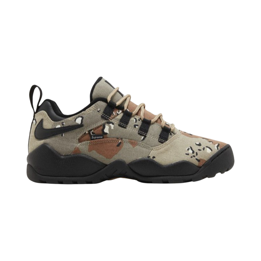 NIKE SB DARWIN LOW