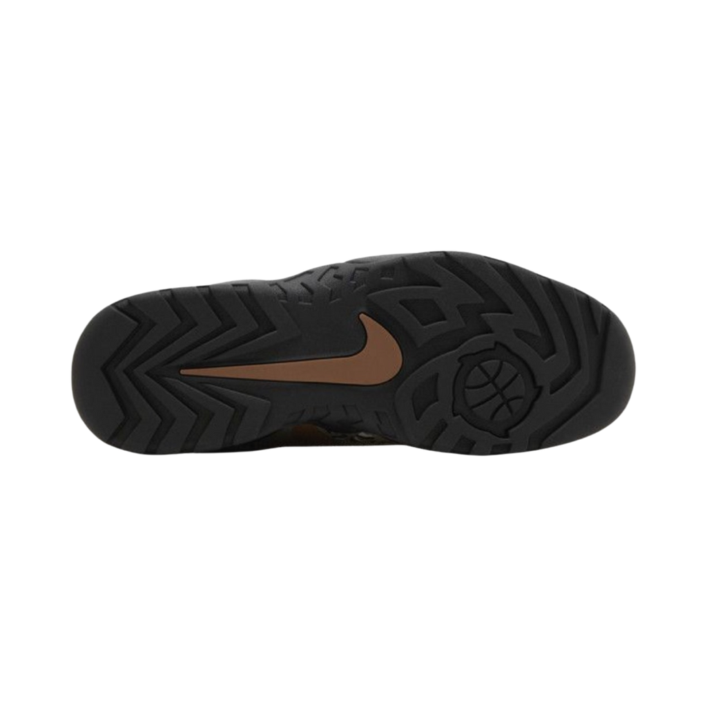 NIKE SB DARWIN LOW
