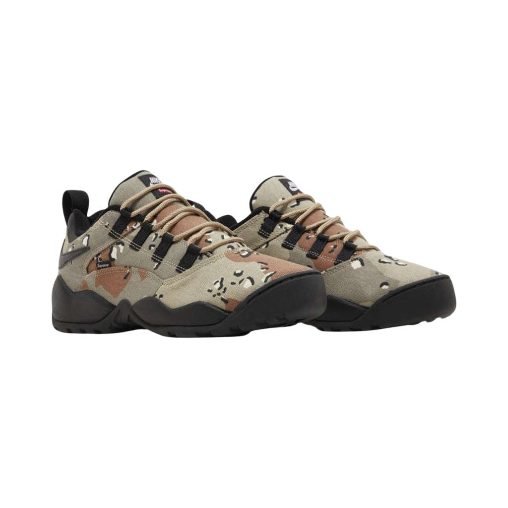 NIKE SB DARWIN LOW