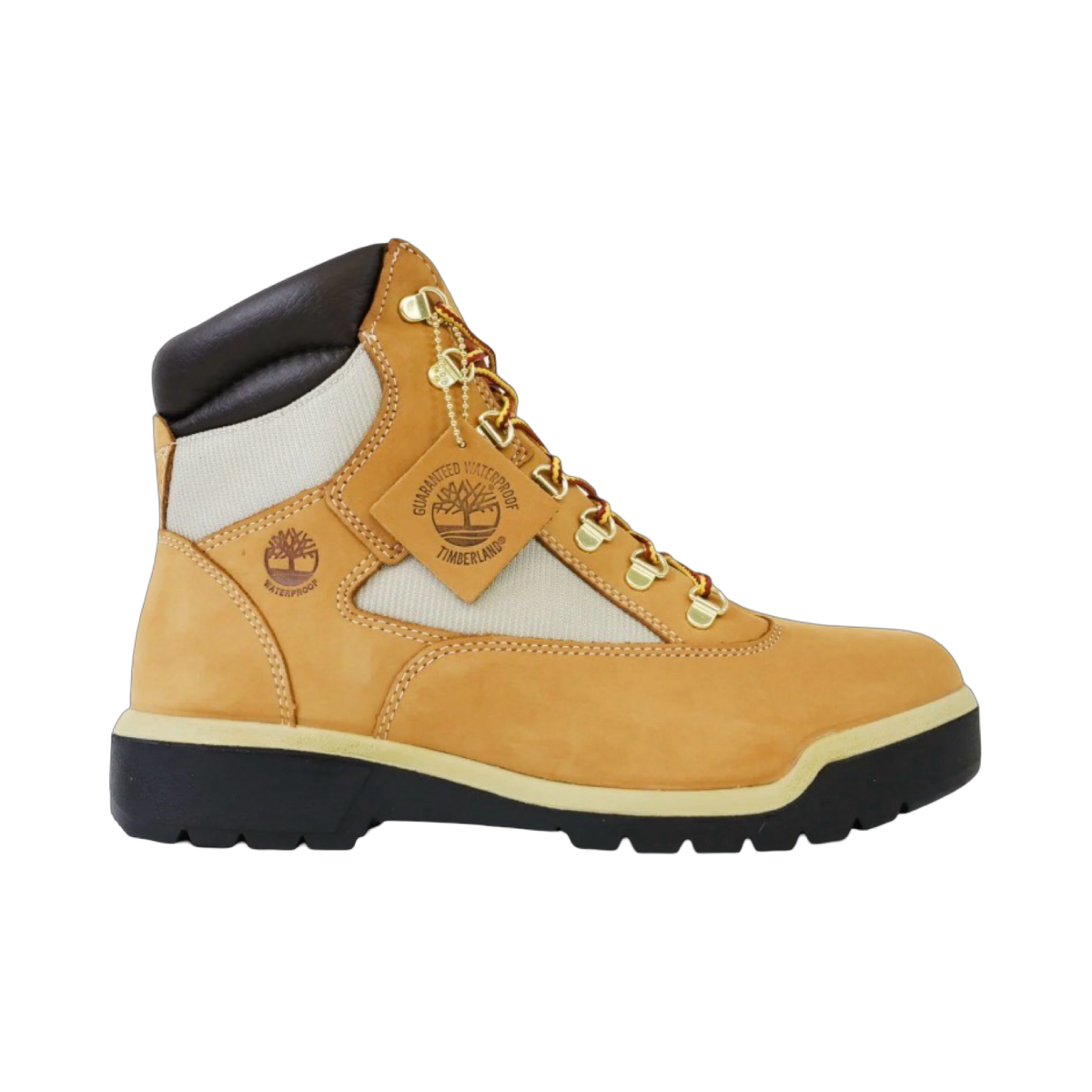 TIMBERLAND 6-Inch Waterproof Field Boot in WHEAT, style TB0A18QV231