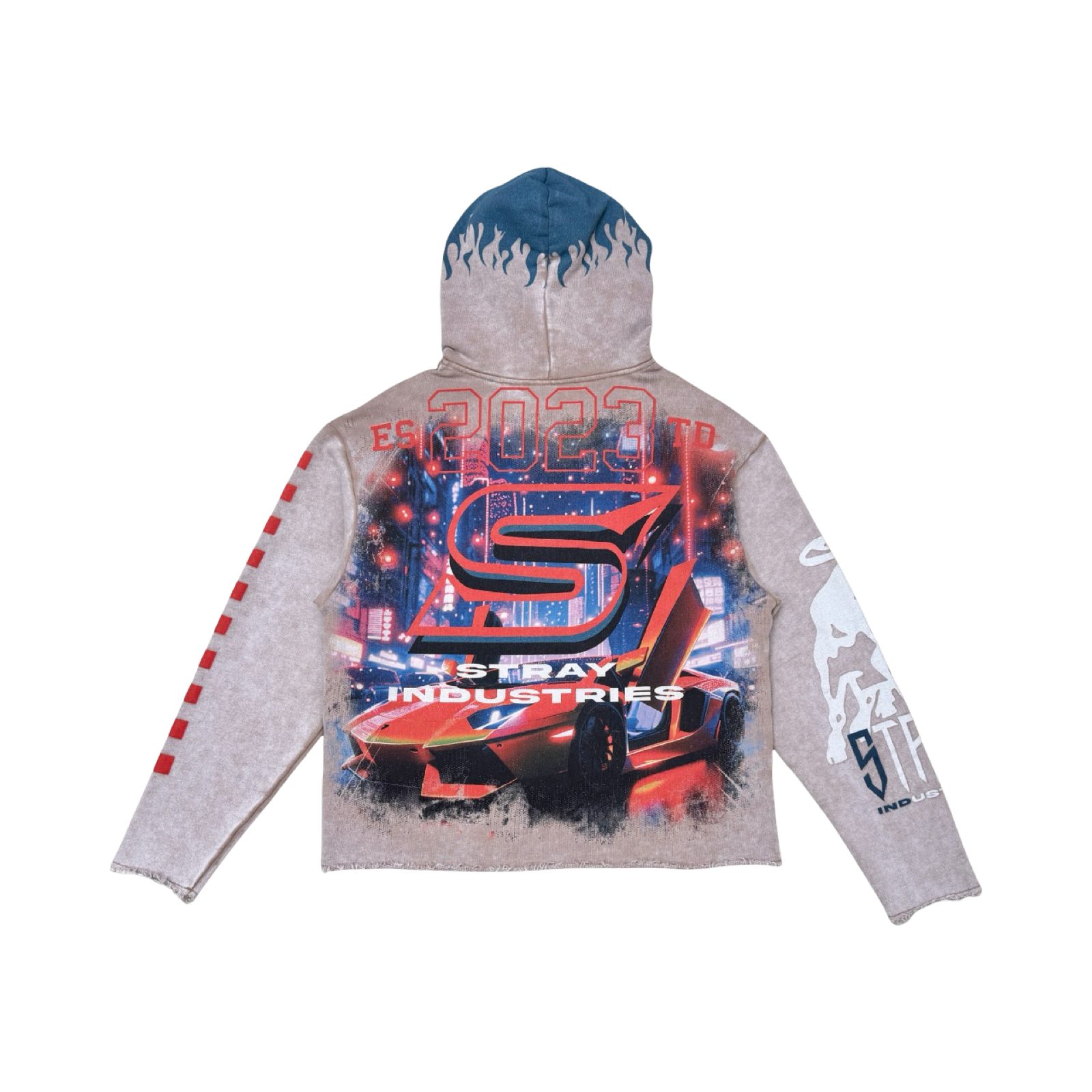 Speed pullover hoodie