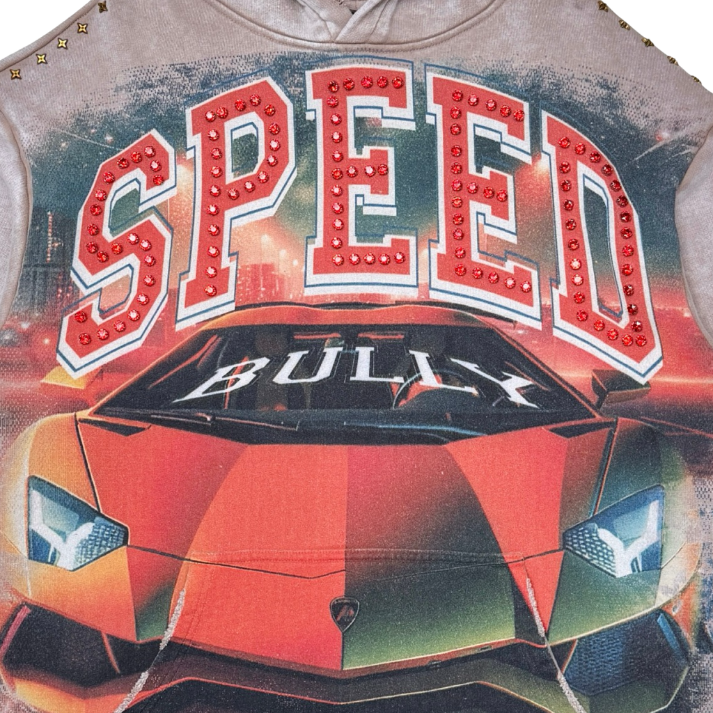 Speed pullover hoodie